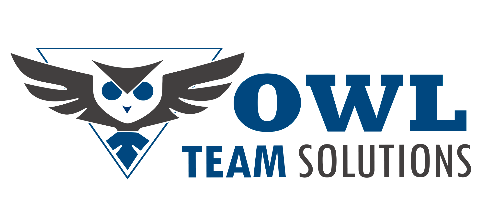 OWL Team Solutions